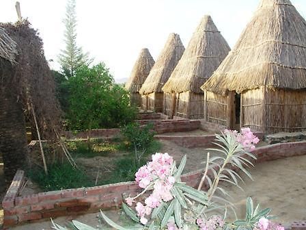 Badry Sahara Camp Hotel Bawati Szoba fotó